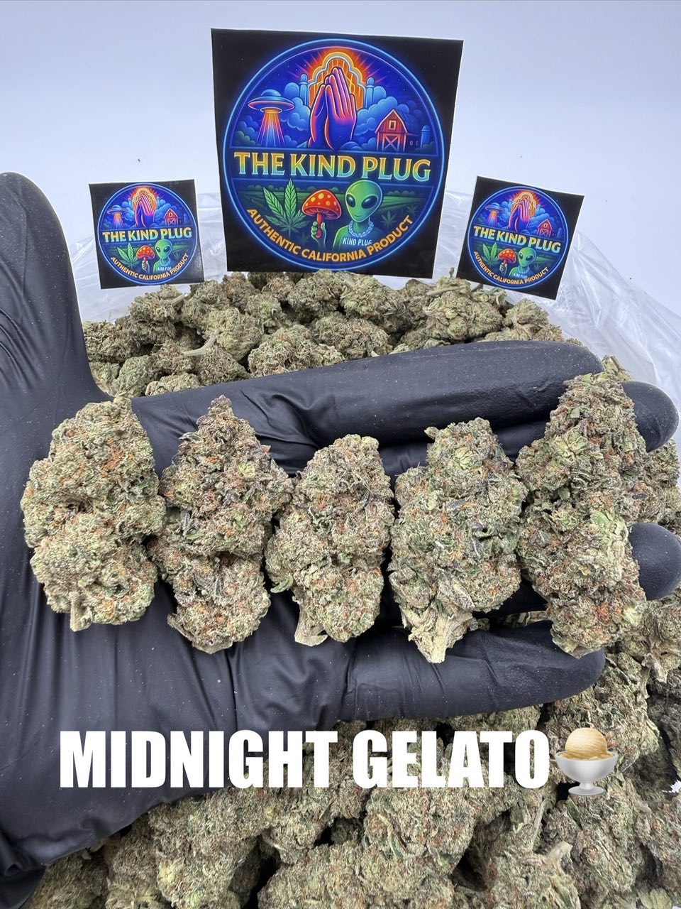 MIDNIGHT GELATO Slide 1